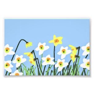 Daffodils in Spring – Contemporary Art Photo Print