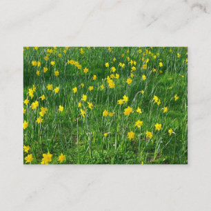 Daffodils/Narcissus Business Card