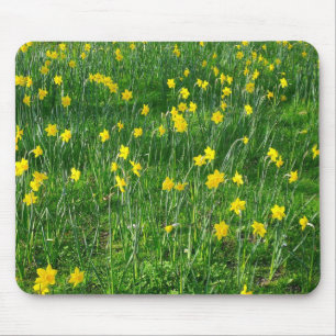 Daffodils/Narcissus Mouse Pad