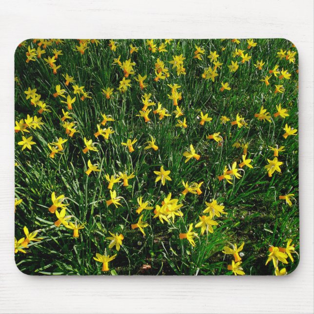 Daffodils/Narcissus Mouse Pad (Front)