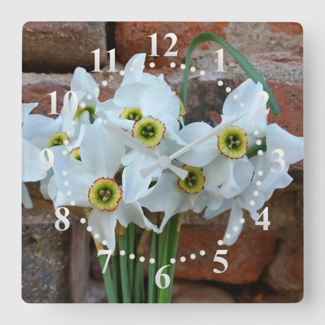 daffodils near fortress wall square wall clock (Front)