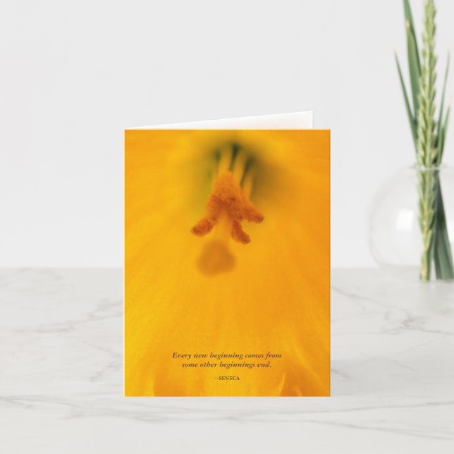 Daffodils note card  ~Seneca (Front)