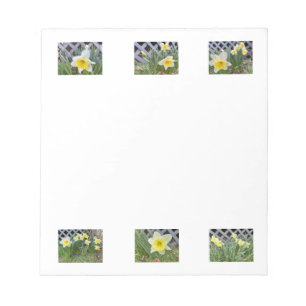 Daffodils Notepad