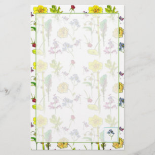 Daffodils Pansies Plant Drawing Botanical Stationery