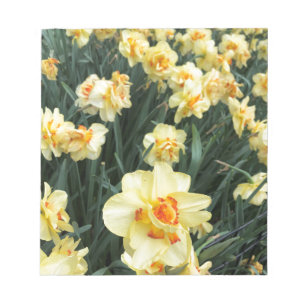 Daffodils Photo Notepad