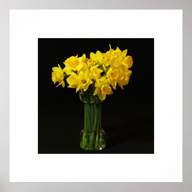 Daffodils Poster (Front)