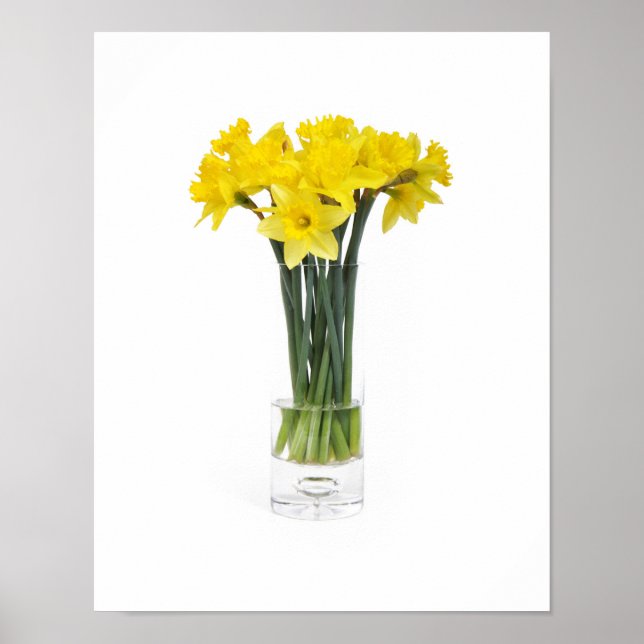 Daffodils Poster (Front)