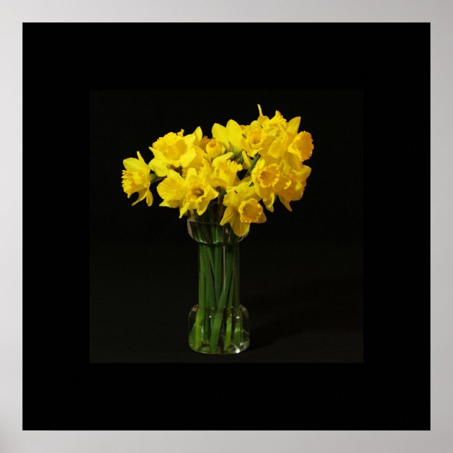 Daffodils Poster (Front)