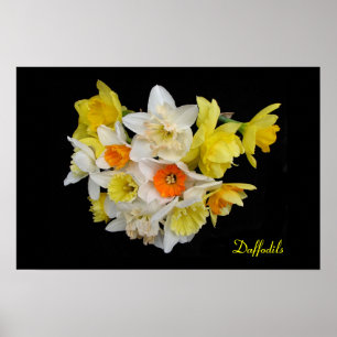 Daffodils Poster