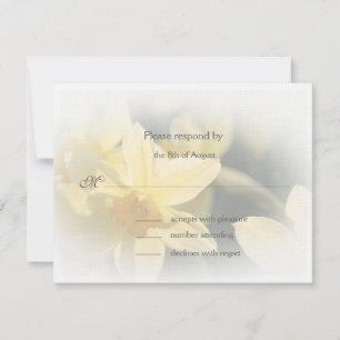 Daffodils respond cards