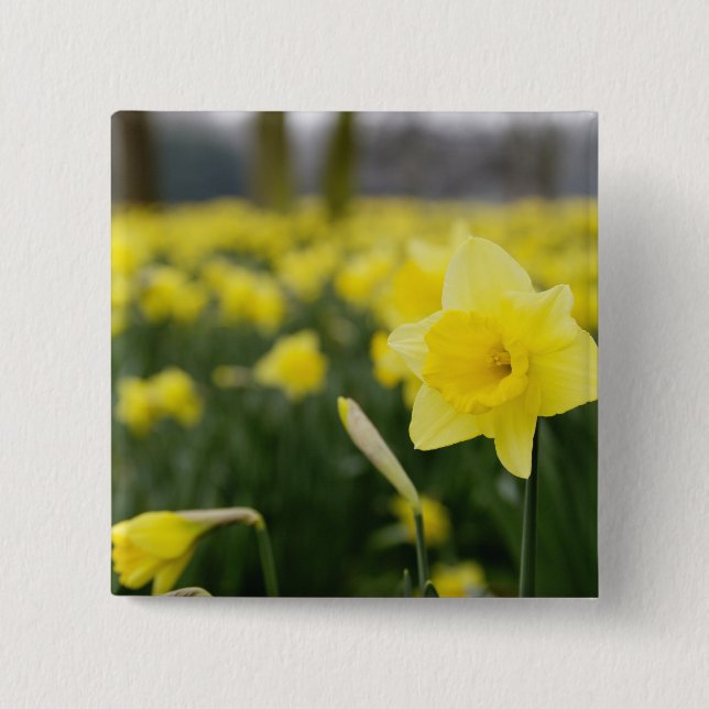 Daffodils (RF) 15 Cm Square Badge (Front)