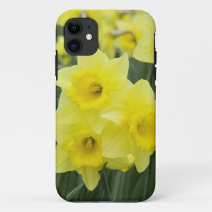 Daffodils RF) iPhone 11 Case