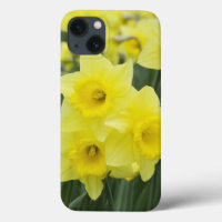 Daffodils RF)