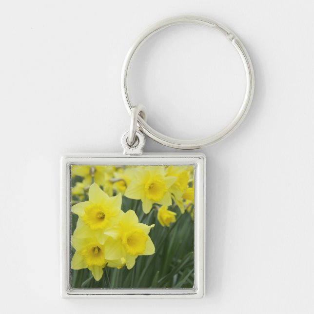 Daffodils RF) Key Ring (Front)
