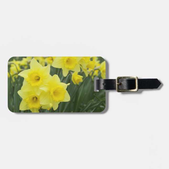 Daffodils RF) Luggage Tag (Front Horizontal)