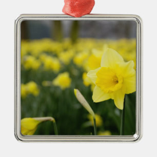 Daffodils (RF) Metal Ornament