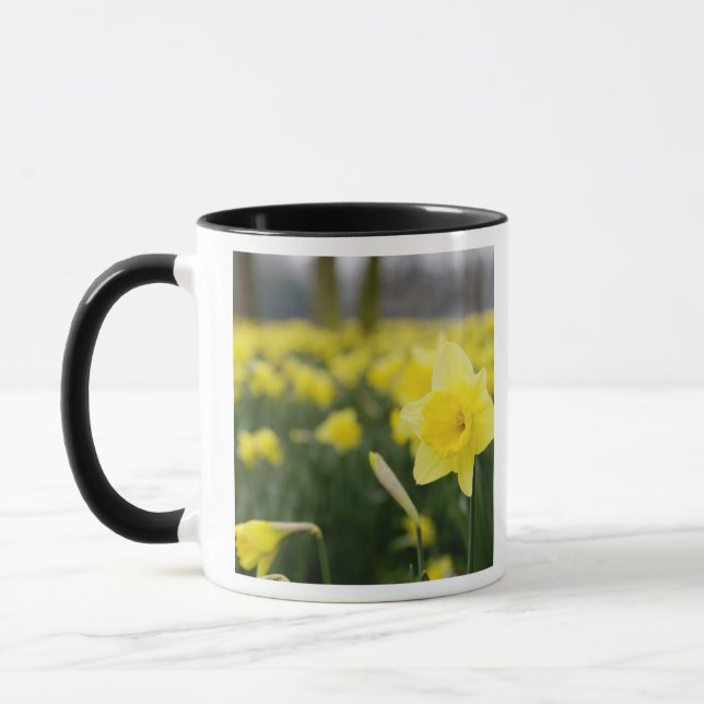 Daffodils (RF) Mug (Left)
