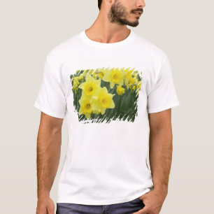 Daffodils RF) T-Shirt