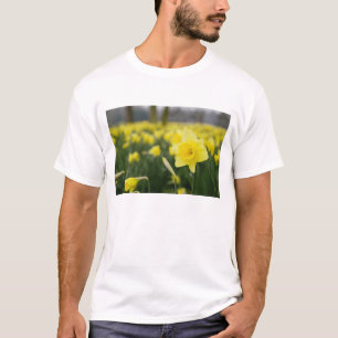 Daffodils (RF) T-Shirt