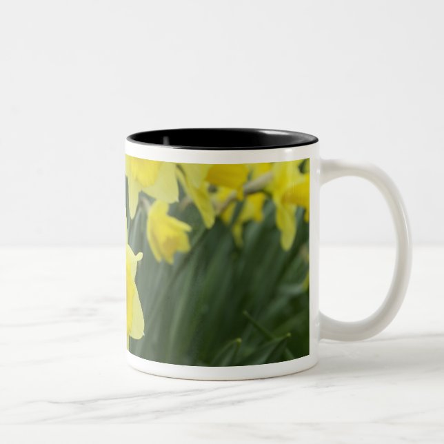Daffodils RF) Two-Tone Coffee Mug (Right)