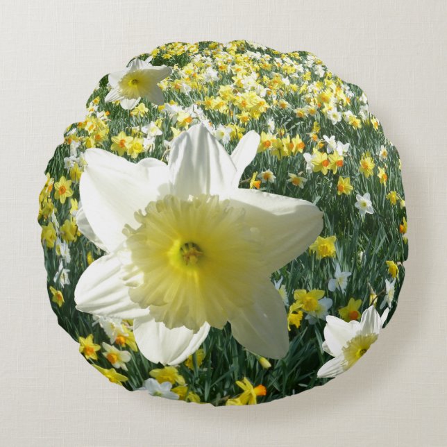 Daffodils Spring Flowers Field Round Pillow (Front)