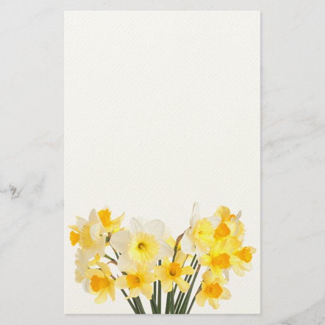 Daffodils Stationery (Front)