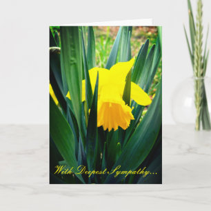 Daffodils Sympathy Card