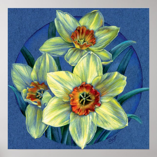 ‘Daffodils – the joys of spring’ fine art poster (Front)