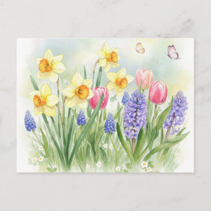 Daffodils, Tulips, Hyacinths, Butterflies Postcard