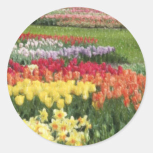 Daffodils Tulips Hyacinths Pencils Classic Round Sticker
