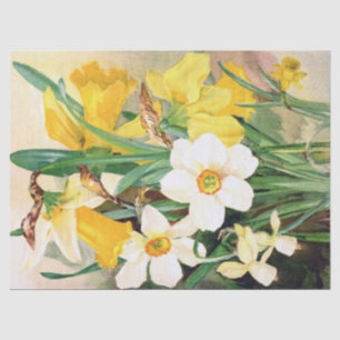 Daffodils Yellow and White Tissue Paper 17x23