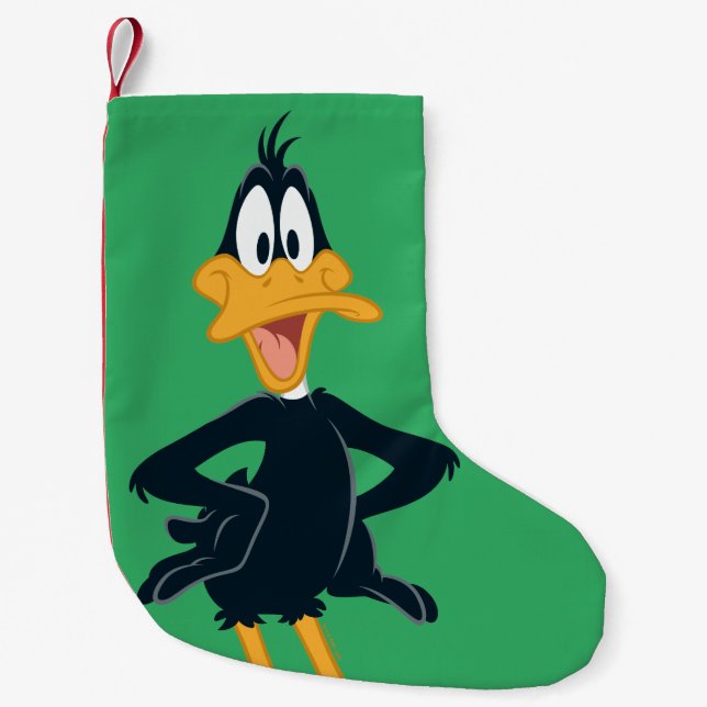 DAFFY DUCK™ SMALL CHRISTMAS STOCKING (Front)