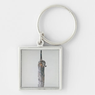 Dagger, Halstatt Culture, c.750-450 BC Key Ring