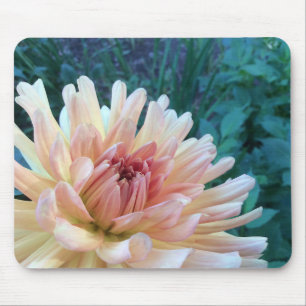 Dahlia B: Yellow and salmon --- Mouse Pad