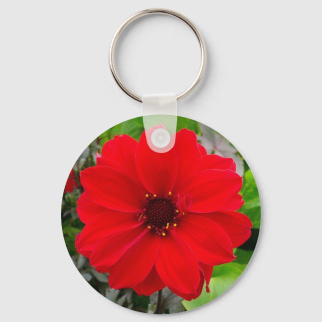 Dahlia - Bishop of Llandaff Key Ring (Front)