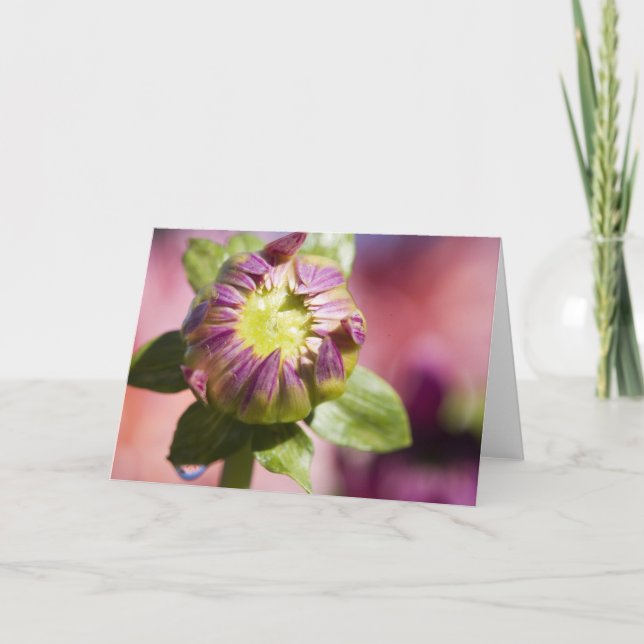 Dahlia bud greeting card (Front)