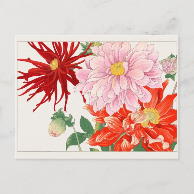 Dahlia by Tanigami Konan Postcard (Front)