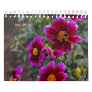 Dahlia  calendar