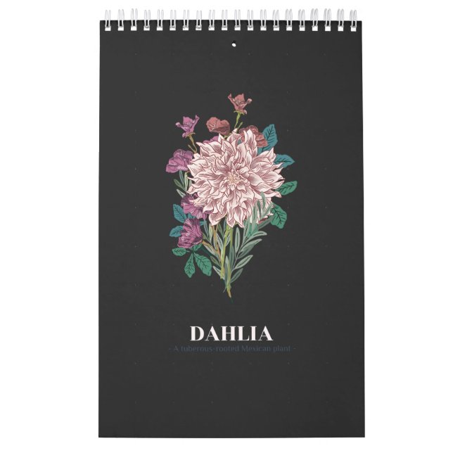 DAHLIA CALENDAR (Cover)