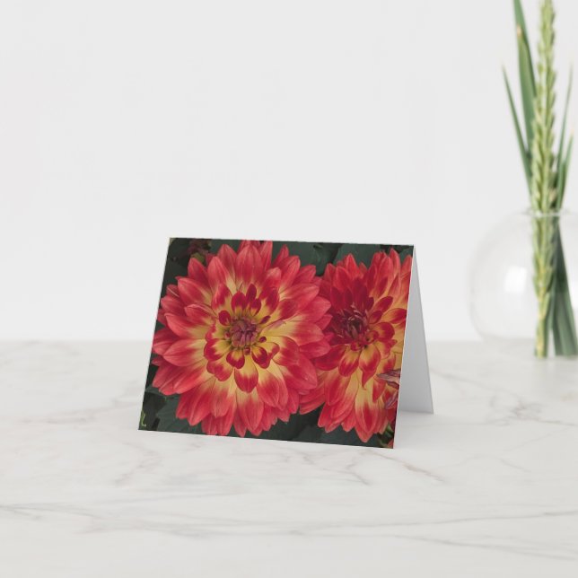 Dahlia Card (Front)