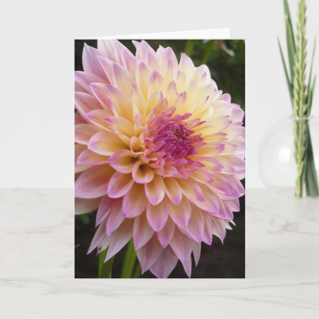 Dahlia Card (Front)