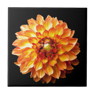 Dahlia Ceramic Tile