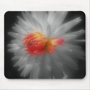 Dahlia Close Up Flower Black White Mousepad
