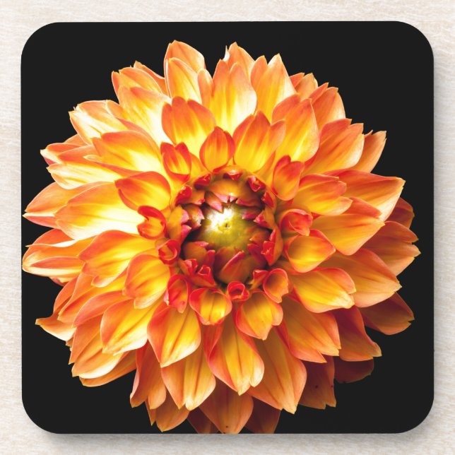 Dahlia Coaster (Front)