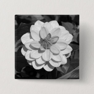 Dahlia 'David Howard' B&W 15 Cm Square Badge