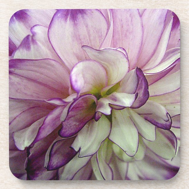 Dahlia Design Set of 6 Square Cork Coasters (Front)