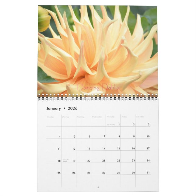 Dahlia Floral Fantasy 2014 Wall Calender Calendar (Jan 2026)