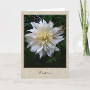 Dahlia - Floral Series Card