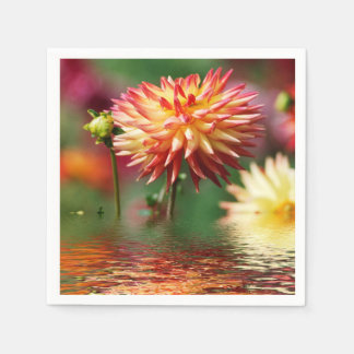 Dahlia flower above the water napkin