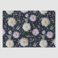 Dahlia Flower Blooms blush on black